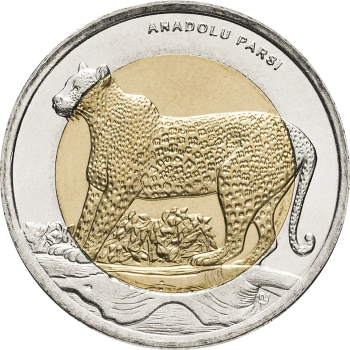Anadolu Parsı